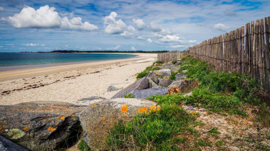 Aparece anillo luego de 14 años perdido en la playa