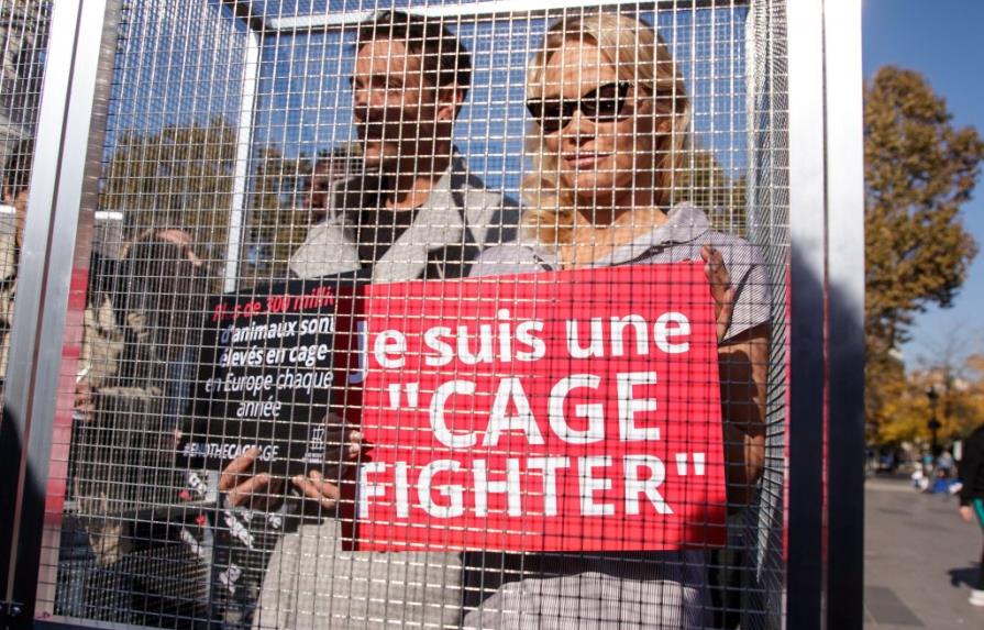Pamela Anderson se encierra para denunciar la cría de animales en jaulas