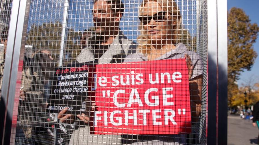 Pamela Anderson se encierra para denunciar la cría de animales en jaulas