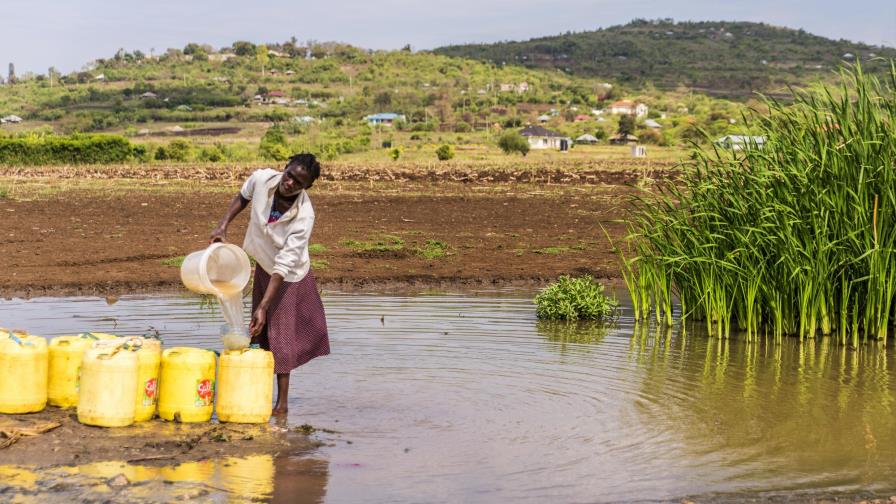 Instan a continuar la lucha en favor de mujeres rurales 