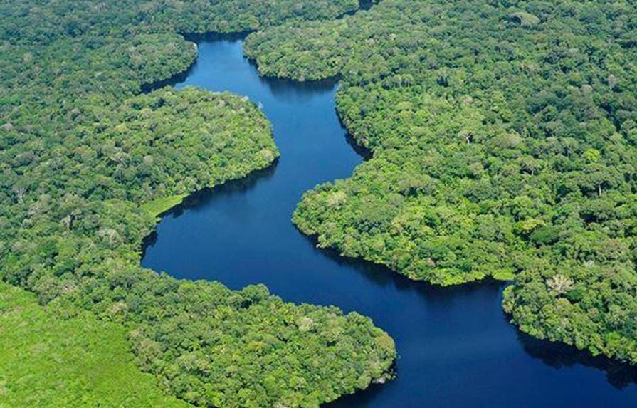 Estudio revela merma en fauna de bosques tropicales por calentamiento global