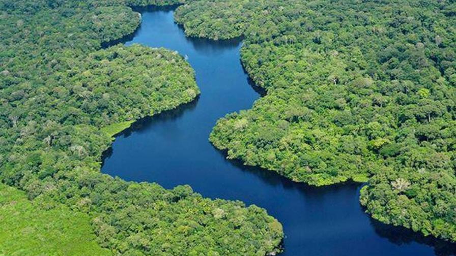 Estudio revela merma en fauna de bosques tropicales por calentamiento global
