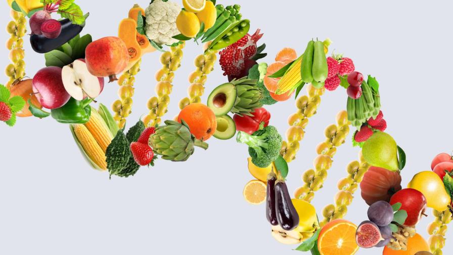Una dieta basada en tus genes, ¿es posible? Una dieta basada en tus genes, ¿es posible?