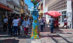 Senado aprueba en primera discusi&oacute;n ley que declara a la mu&ntilde;eca sin rostro como Patrimonio Cultural