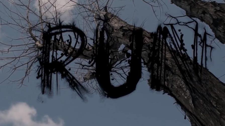 Filme dominicano “Run” gana mejor corto del Festival Internacional “CineEco”