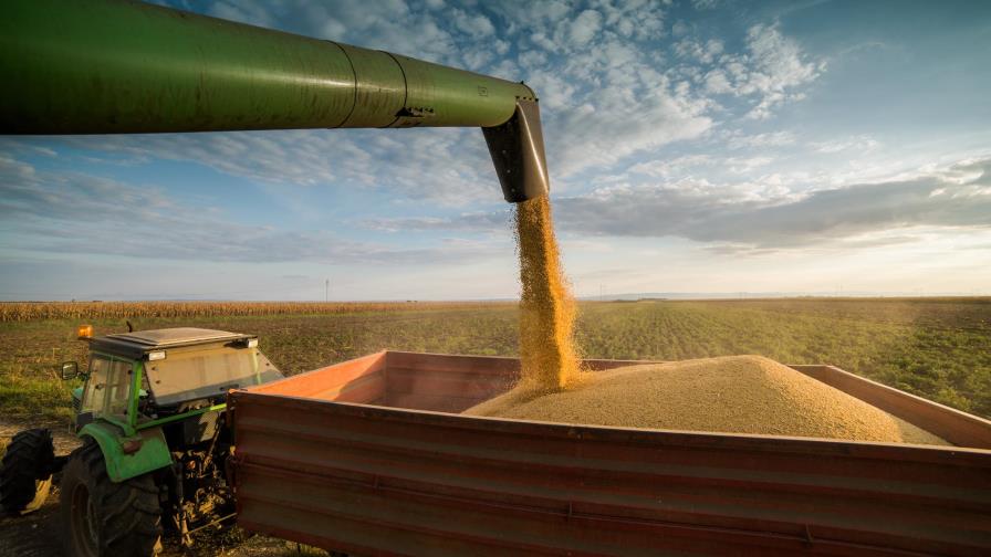 En América Latina, COFCO busca aprovechar la guerra comercial entre EEUU y China En América Latina, COFCO busca aprovechar la guerra comercial entre EEUU y China