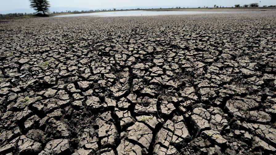 Clima extremo, enfermedades y hambrunas, el cambio climático del Mediterráneo