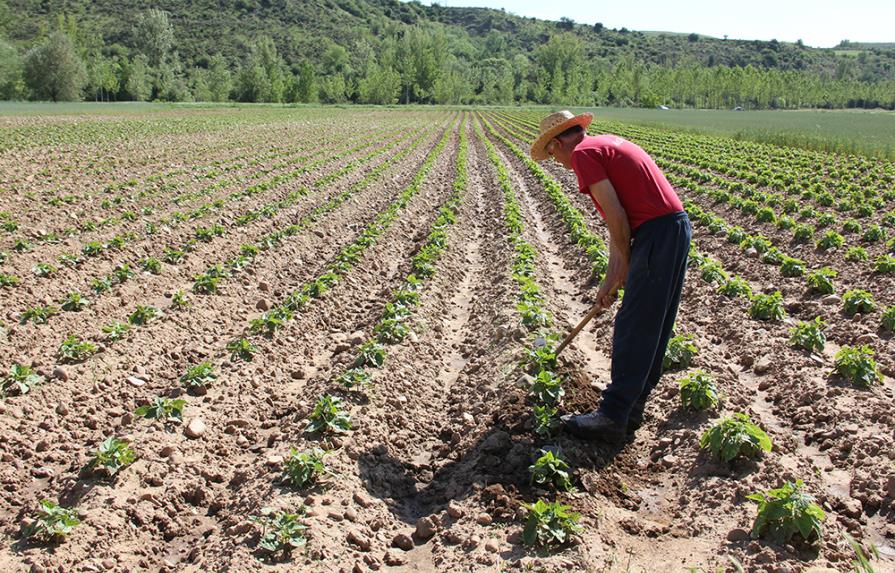 Informe urge acciones para adaptar la agricultura al cambio climático