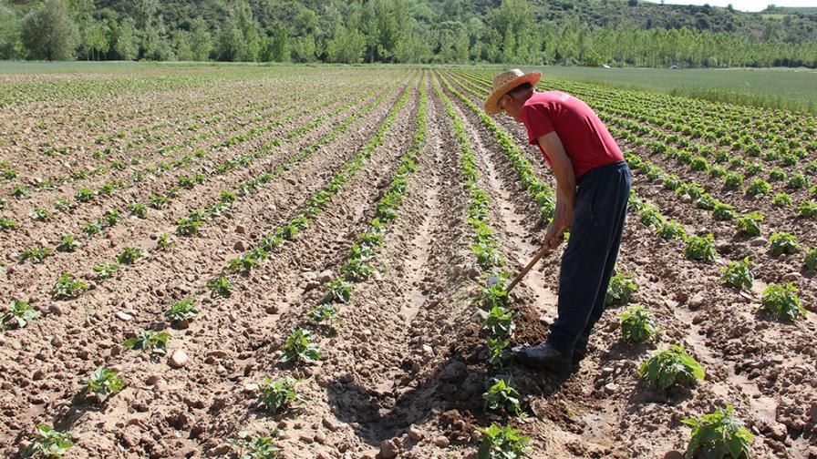 Informe urge acciones para adaptar la agricultura al cambio climático