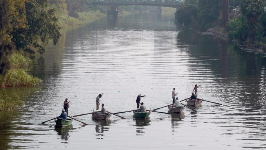 Las personas que van a diario por sitios naturales tienen mejor salud mental