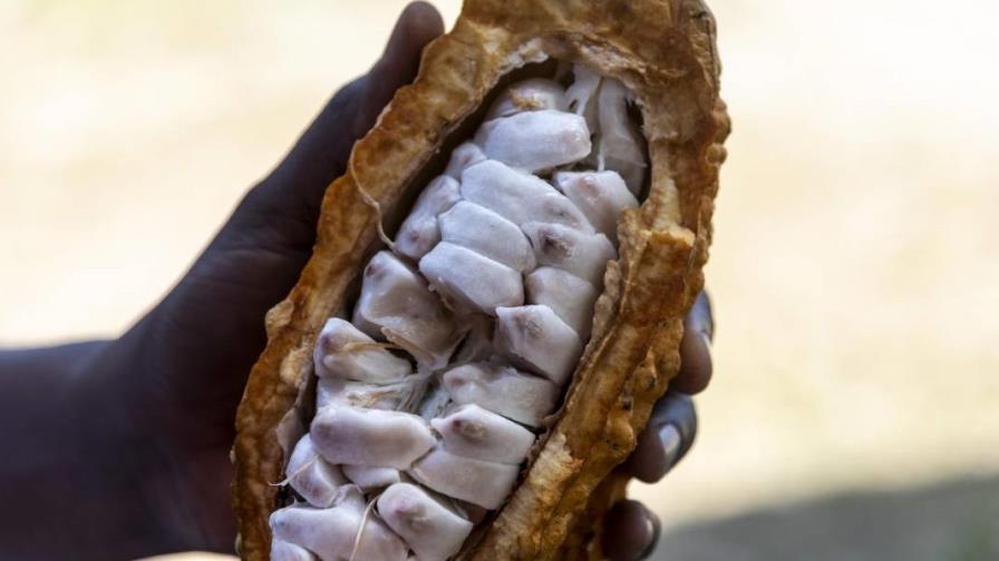 El chocolate más antiguo del mundo se hizo hace 5300 años