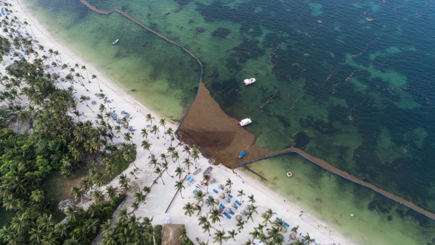 Asonahores asegura que el turismo en el país no será afectado por el sargazo