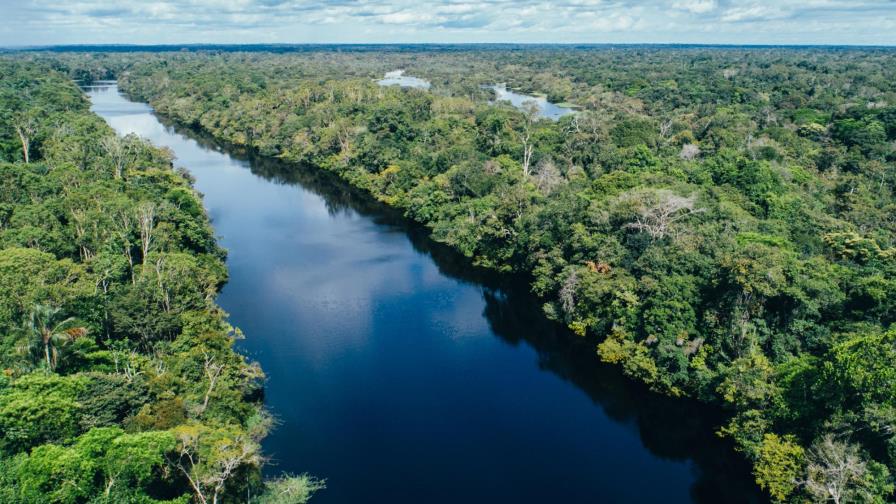 Cinco países controlan el 70% de los terrenos vírgenes del mundo Cinco países controlan el 70% de los terrenos vírgenes del mundo