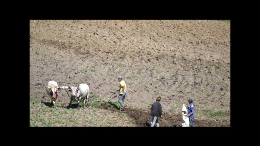 Productores desalojados de Valle Nuevo amenazan con volver a ocupar el lugar
