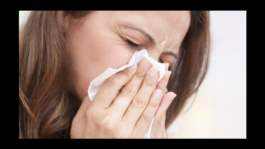 Este lunes 5 de noviembre Este lunes 5 de noviembre