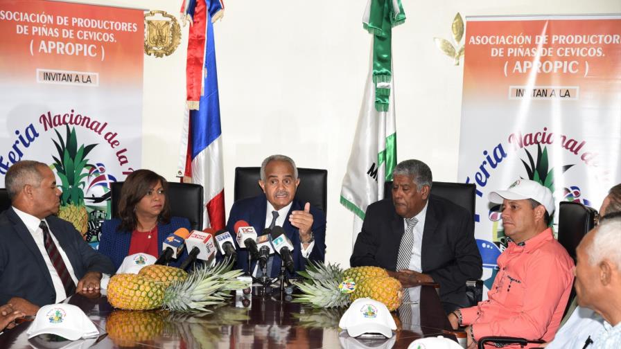 Gobierno apoyará a productores de piña