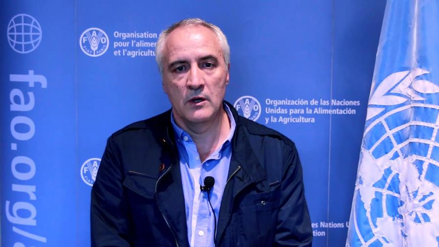 FAO: en RD hay voluntad para combatir pobreza FAO: en RD hay voluntad para combatir pobreza