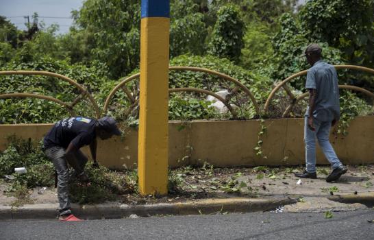 Área verde en cabecera del puente de la 17 está abandonada Área verde en cabecera del puente de la 17 está abandonada