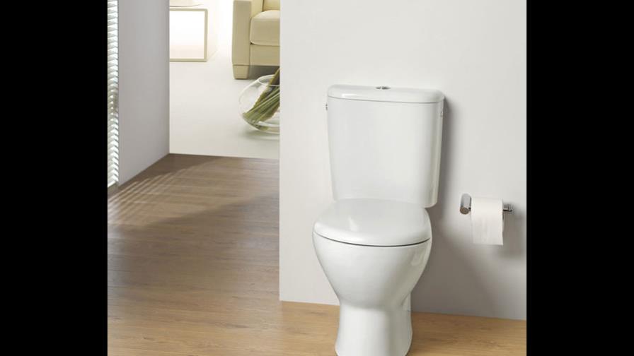 En Suiza los inodoros se están tapando con fajos de dinero En Suiza los inodoros se están tapando con fajos de dinero