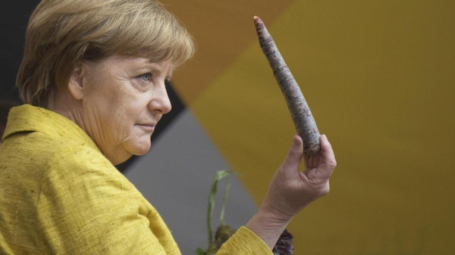 La atípica Merkel avanza a su reelección vista como la “mami” o “abuela” de los votantes La atípica Merkel avanza a su reelección vista como la “mami” o “abuela” de los votantes