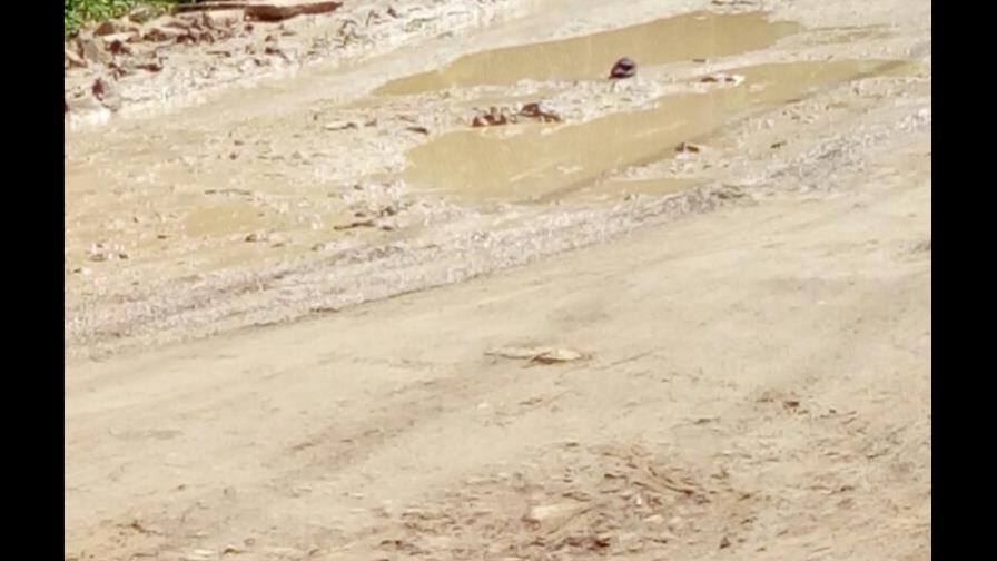 Protestan en Brisas del Este por las malas condiciones de sus calles Protestan en Brisas del Este por las malas condiciones de sus calles