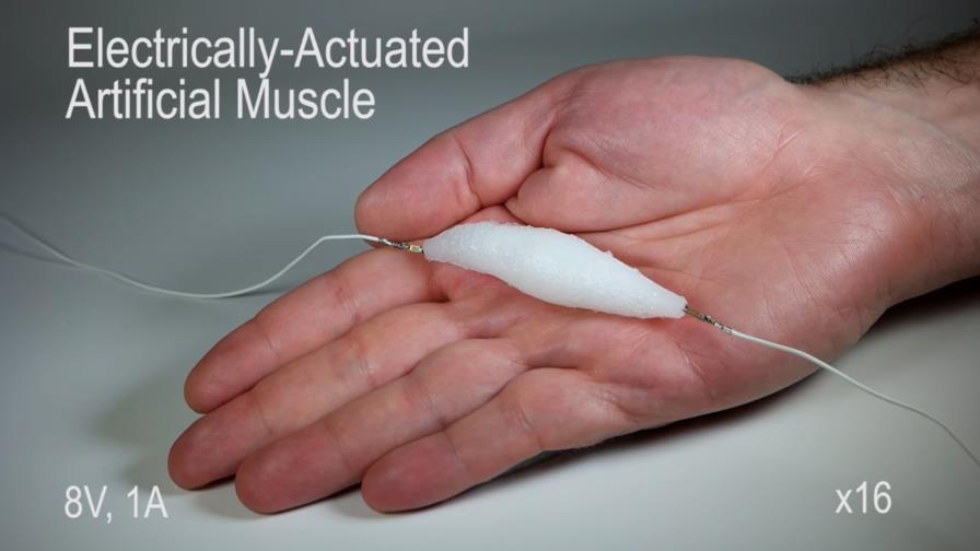 Desarrollan un material equivalente al músculo humano para robots Desarrollan un material equivalente al músculo humano para robots