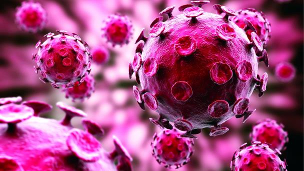 La OMS advierte de brote mortal de gripe aviar en humanos