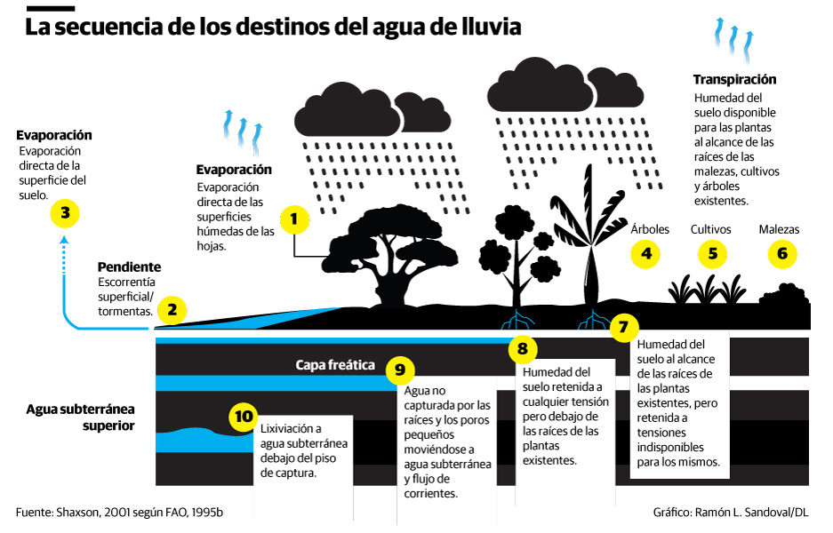 Infografía