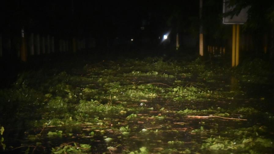 María derriba árboles y letreros en Higüey María derriba árboles y letreros en Higüey
