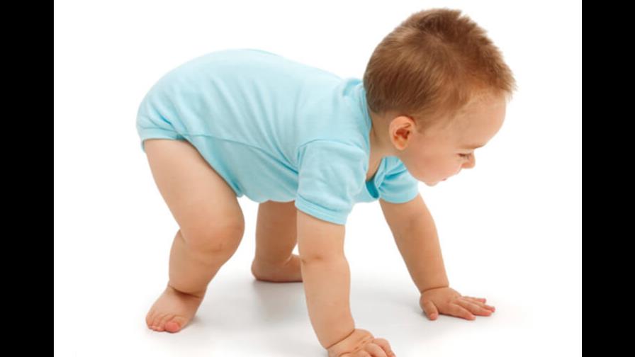 Bebés que ven a adultos esforzarse son más persistentes Bebés que ven a adultos esforzarse son más persistentes