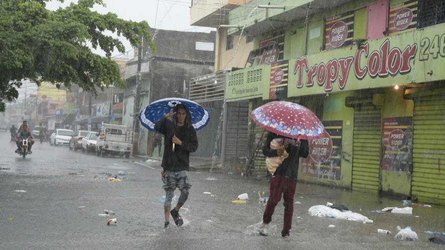 Especialista en control de plagas exhorta limpiar casas y zonas aledañas tras paso de María 