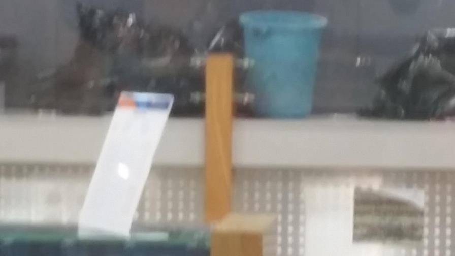 Goteras en el Aeropuerto de Las Américas dificulta trabajo de cajeros en un banco Goteras en el Aeropuerto de Las Américas dificulta trabajo de cajeros en un banco