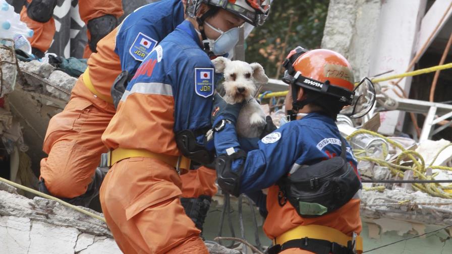 Rumores causan confusión y pánico en los mexicanos tras el terremoto