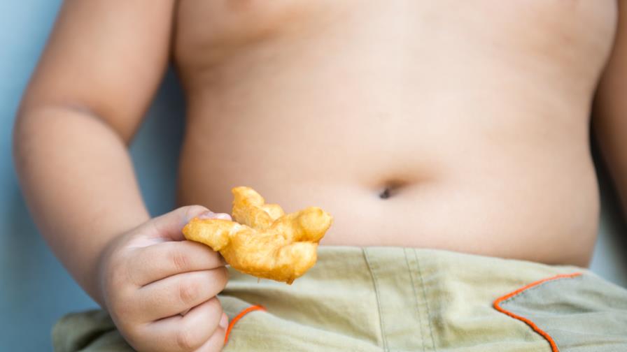 Presentan plan para disminuir obesidad en población infantil del país Presentan plan para disminuir obesidad en población infantil del país