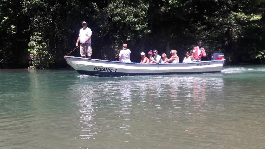 Delfines alegran a los turistas en Los Haitises Delfines alegran a los turistas en Los Haitises