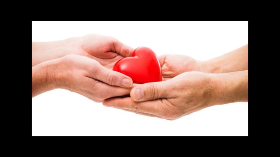 Brasil bate récord de donadores de órganos en el primer semestre Brasil bate récord de donadores de órganos en el primer semestre