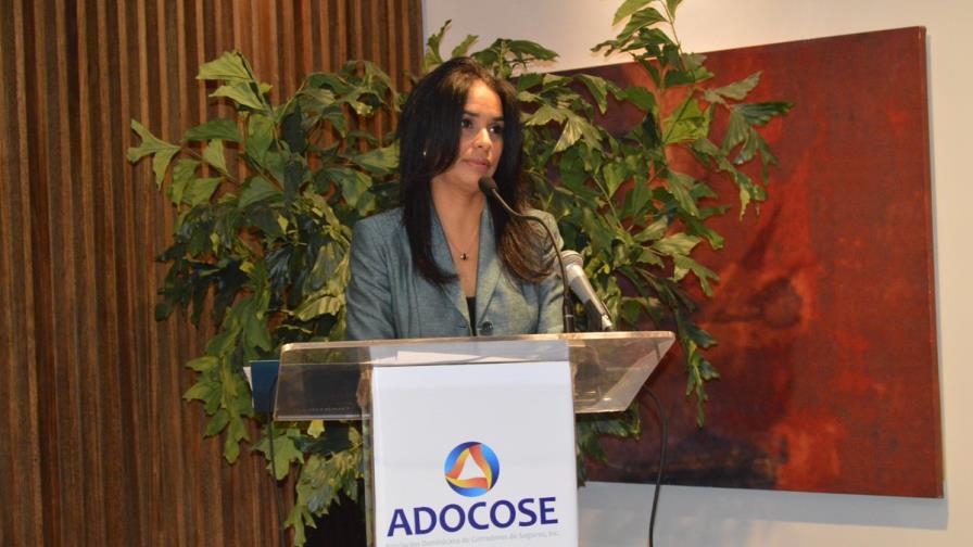 Directora Ejecutiva del INTRANT dicta conferencia ante aseguradores de vehículos