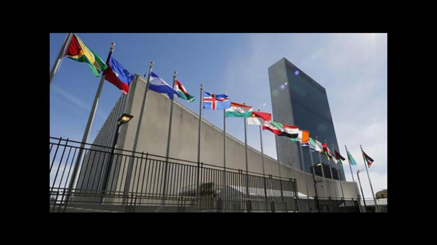 La ONU anuncia un plan global para acabar con las muertes por rabia en 2030 La ONU anuncia un plan global para acabar con las muertes por rabia en 2030