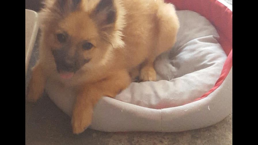 No controla sus esfínteres