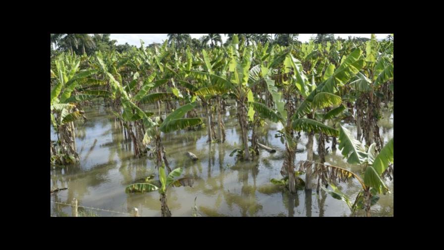 Gobierno acude en auxilio de los productores agrícolas afectados por los huracanes