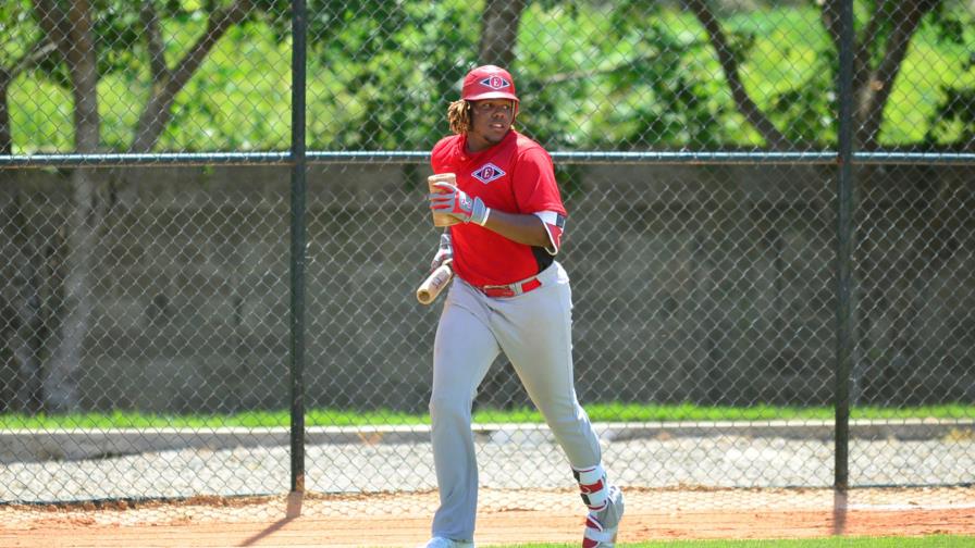 Vladimir Guerrero Jr debutó en victoria de Escogido ante Tigres 