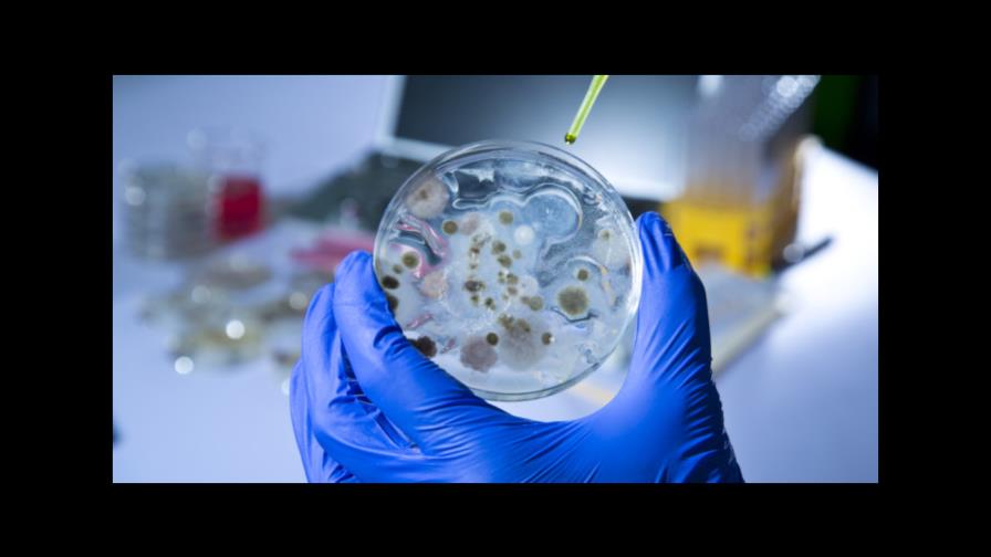 Descubren nanotecnología para superar la resistencia a los antibióticos 