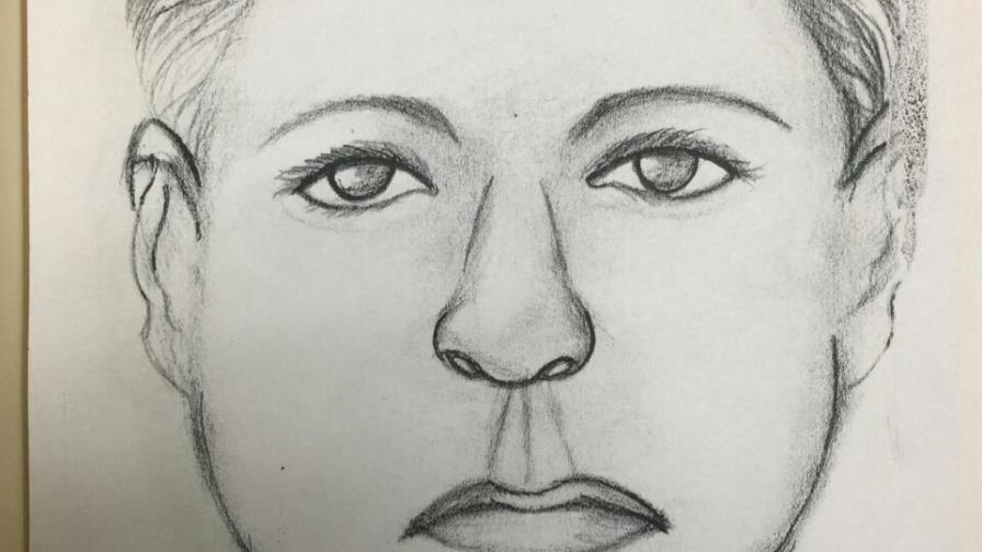 Difunden retrato hablado de mujer que robó recién nacida de Maternidad La Altagracia 