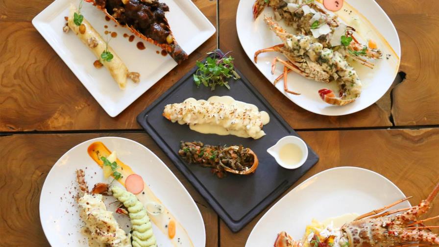 A degustar langosta    en todas sus deliciosas y versátiles versiones...