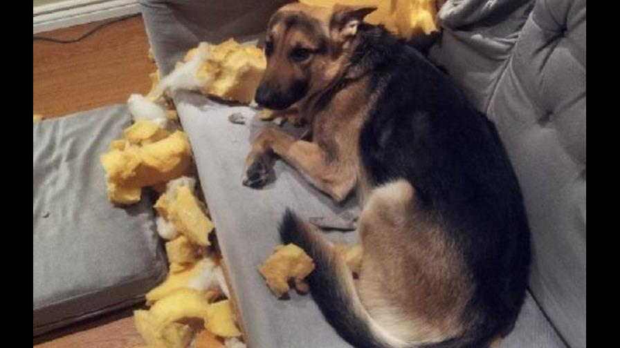 Cuándo se debe corregir