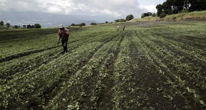 La Unión Europea y FAO defienden derecho a la tierra para eliminar hambre en países pobres