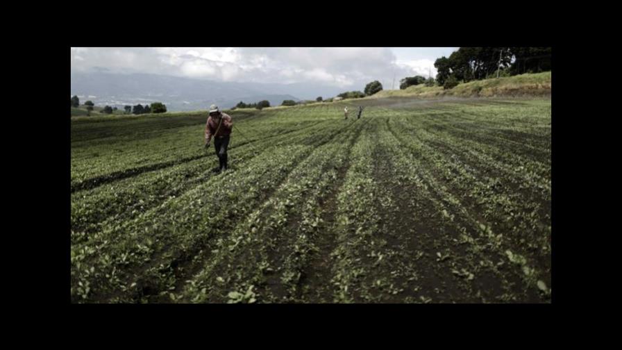 La Unión Europea y FAO defienden derecho a la tierra para eliminar hambre en países pobres La Unión Europea y FAO defienden derecho a la tierra para eliminar hambre en países pobres
