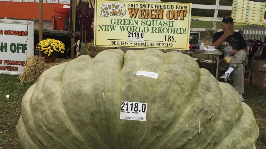 Granjero gana concurso en EEUU con calabacín de 2,118 libras