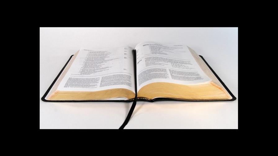 Testigos de Jehová, grafía adecuada