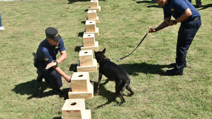 DNCD y la Unión Europea instalan unidades caninas en la frontera